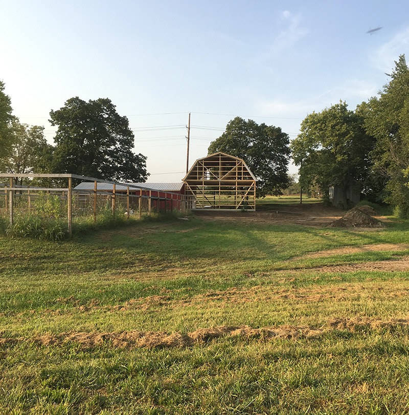 baldwin-city-distillery-barn-construction-800x811px baldwin city distillery barn construction