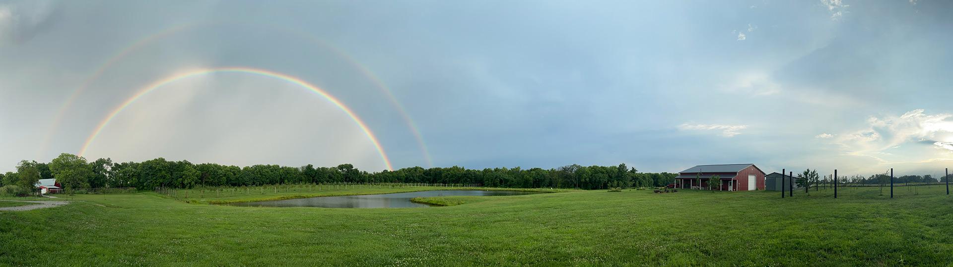 baldwin-city-orchard-trees-rainbow-720x412px baldwin city orchard trees rainbow